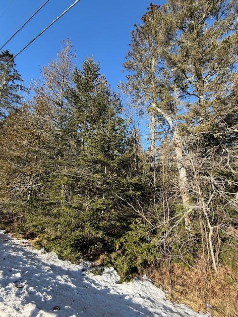 Lot 31 Gin Cove Road Perry, ME 04667 - Photo 12 of 18 IMG_0465 (3)