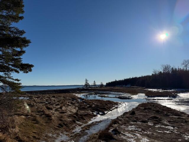 Lot 31 Gin Cove Road Perry, ME 04667 - Photo 17 of 18 IMG_0471 (1)