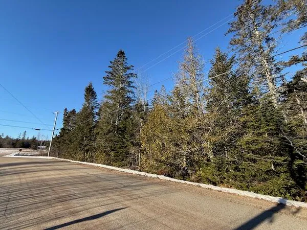 $37,500 | Lot 31 Gin Cove Road, Perry, ME 04667