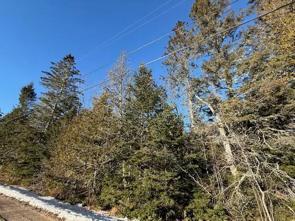 $37,500 | Lot 31 Gin Cove Road, Perry, ME 04667
