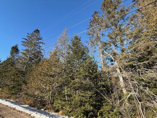 Lot 31 Gin Cove Road Perry, ME 04667 - Photo 4 of 18 IMG_0464 (3)