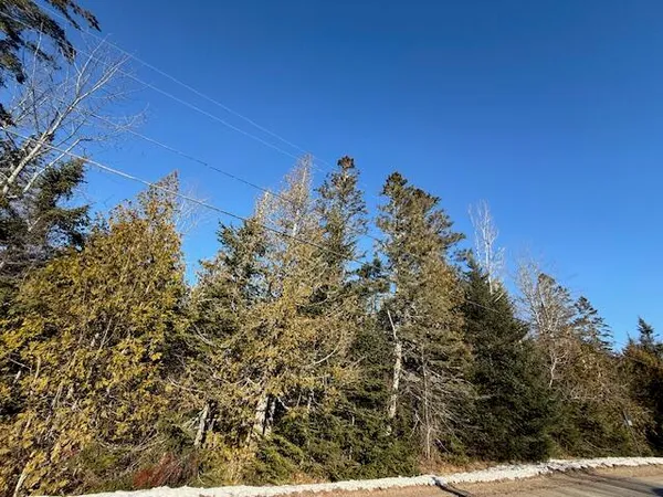 $37,500 | Lot 31 Gin Cove Road, Perry, ME 04667