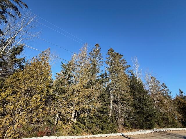 Lot 31 Gin Cove Road Perry, ME 04667 - Photo 5 of 18 IMG_0461 (1)