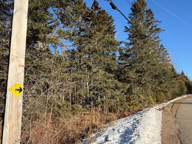 Lot 31 Gin Cove Road Perry, ME 04667 - Photo 6 of 18 IMG_0463 (1)