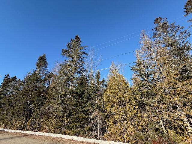 Lot 31 Gin Cove Road Perry, ME 04667 - Photo 7 of 18 IMG_0460 (1)