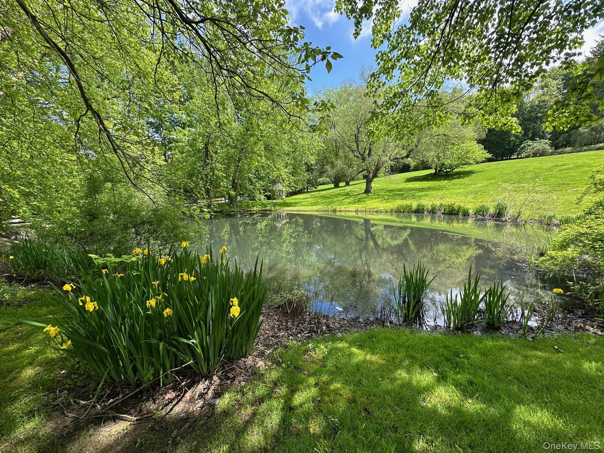 150 Old Farm Road North Chappaqua, NY 10514 - Photo 43 of 44 a view of a lake with a yard