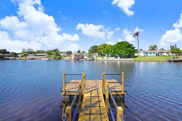 $325,000 | 1305 Basswood Drive, Holiday, FL 34690