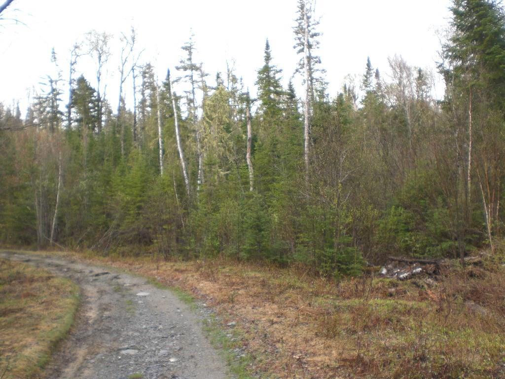 0 Off Route 27 Route Eustis, ME 04936 - Photo 9 of 10 Photo