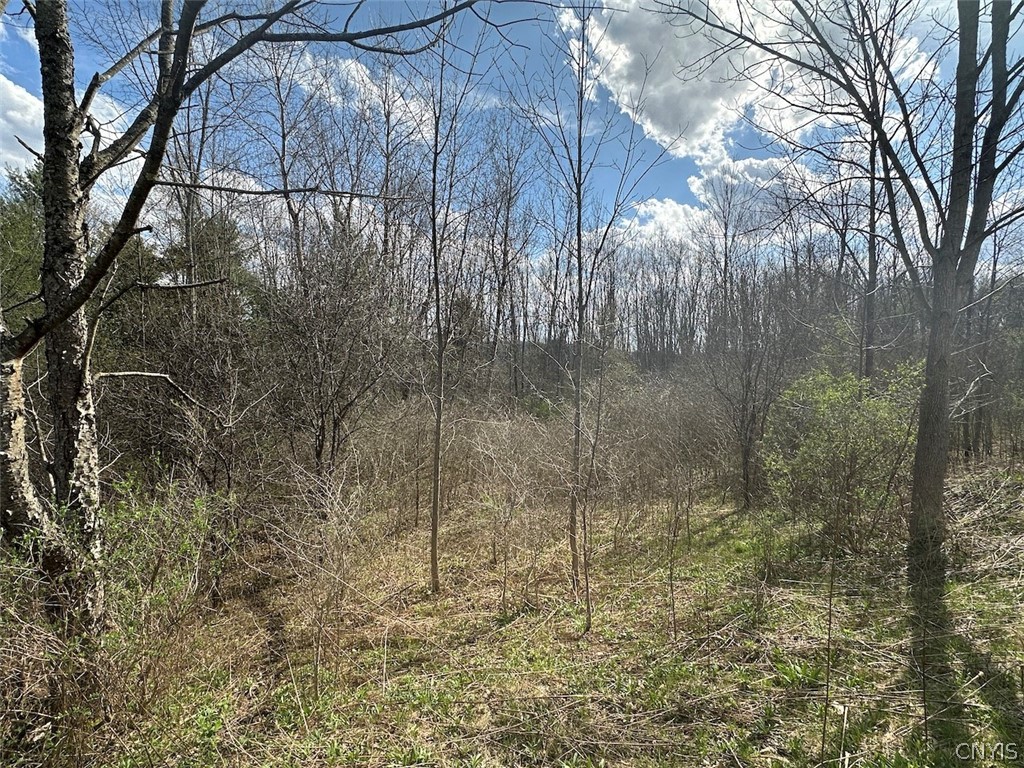 Pigtail Road Friendship, NY 14739 - Photo 8 of 11