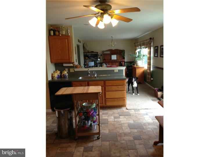 264 North View Road Fleetwood, PA 19522 - Photo 12 of 25 Kitchen