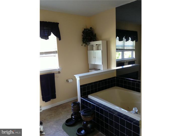 264 North View Road Fleetwood, PA 19522 - Photo 18 of 25 Master Bathroom