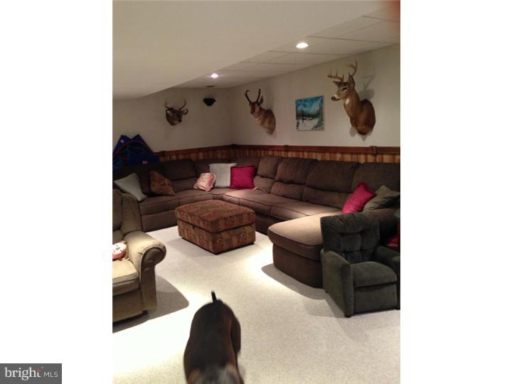 264 North View Road Fleetwood, PA 19522 - Photo 24 of 25 Basement - Finished