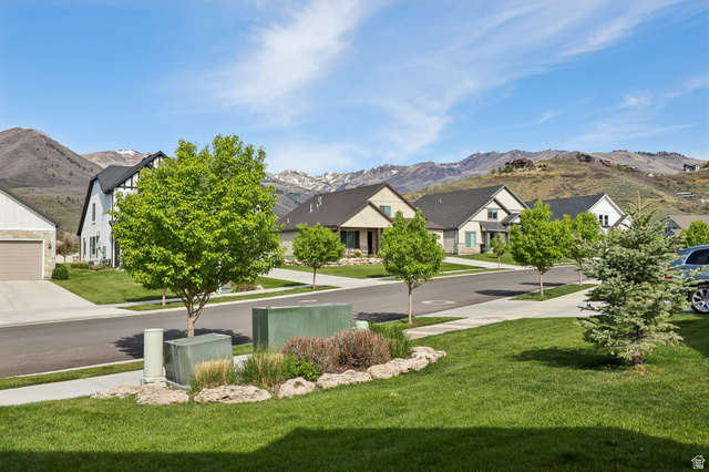 1238 Canyon View Road Midway, UT 84049 - Photo 32 of 36 Residential street with paved sidewalks and mature trees, featuring varied architectural styles including a modern farmhouse and stucco exteriors