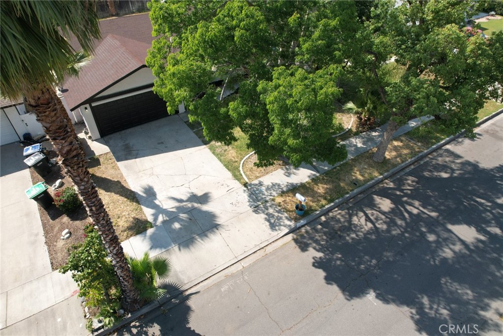 1161 Blue Ridge Lane Colton, CA 92324 - Photo 5 of 36 a view of a tree