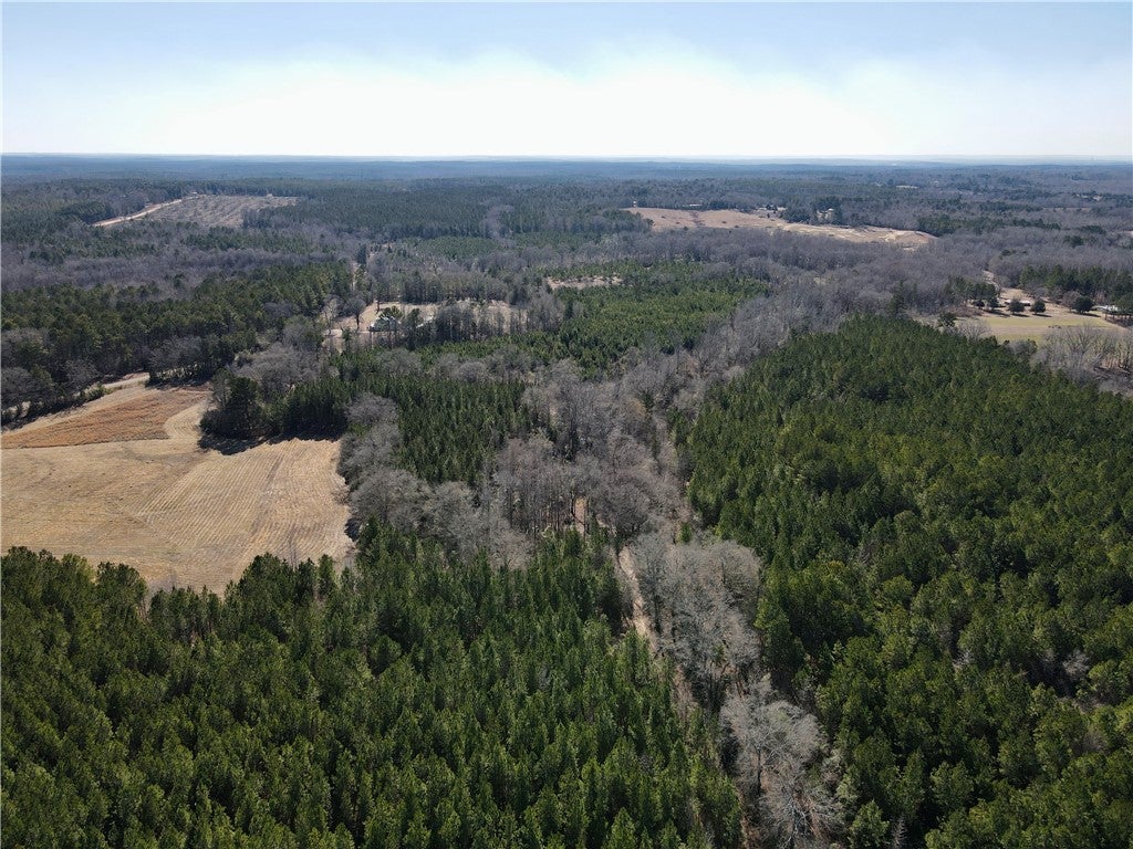 0 Brazell Road Camp Hill, AL 36850 - Photo 11 of 24 Gallery Image 11
