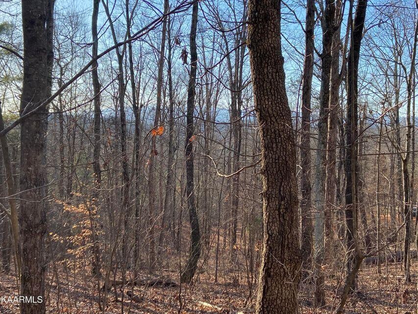 5 Tomotley Road Maryville, TN 37801 - Photo 2 of 5
