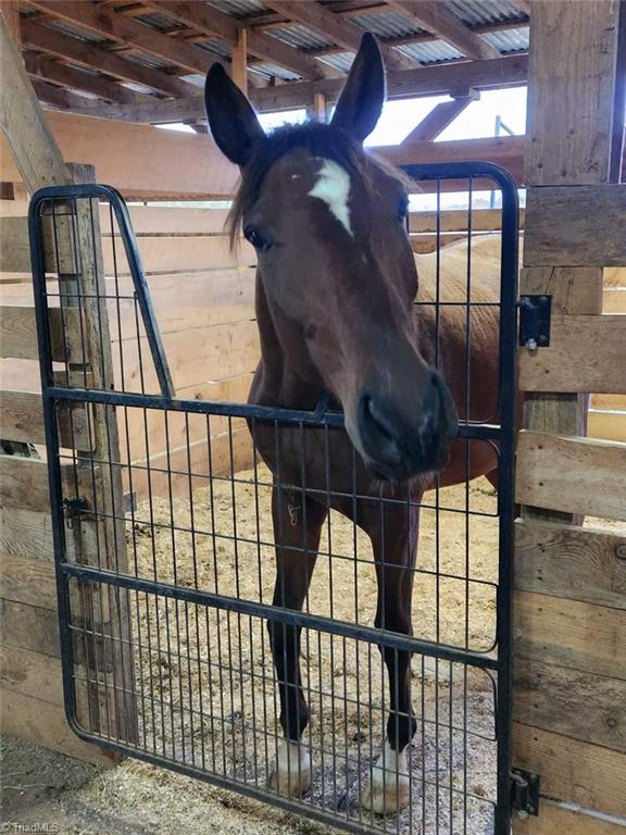 2631 Price Grange Road Eden, NC 27288 - Photo 29 of 49