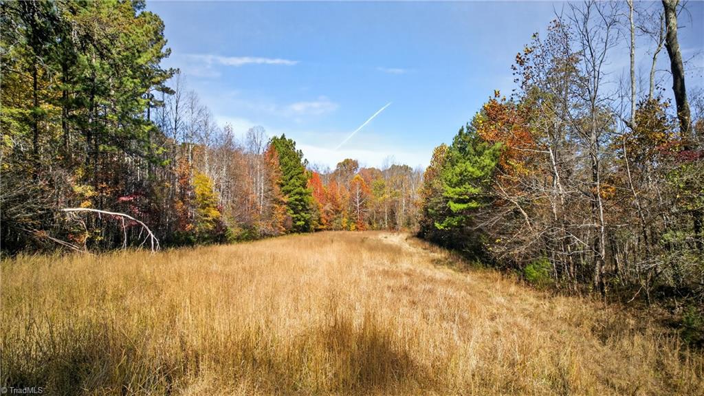 2631 Price Grange Road Eden, NC 27288 - Photo 39 of 49