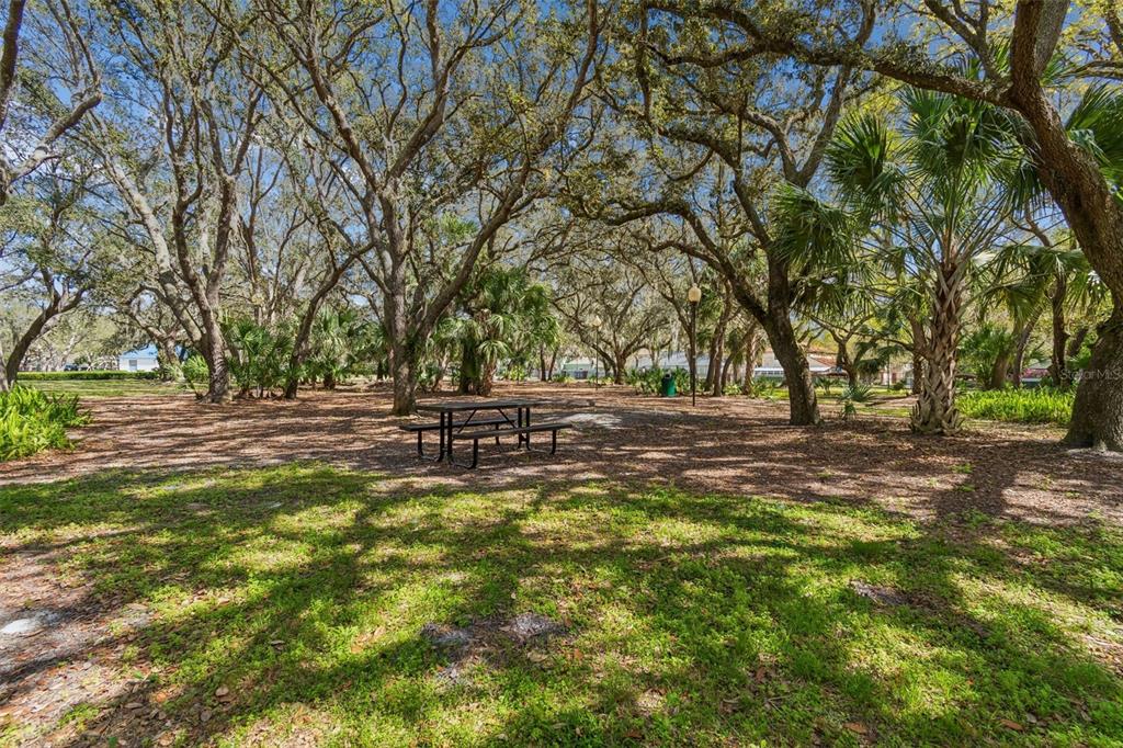 5100 Burchette Road, Unit 3207 Tampa, FL 33647 - Photo 56 of 62 Gallery Image 56