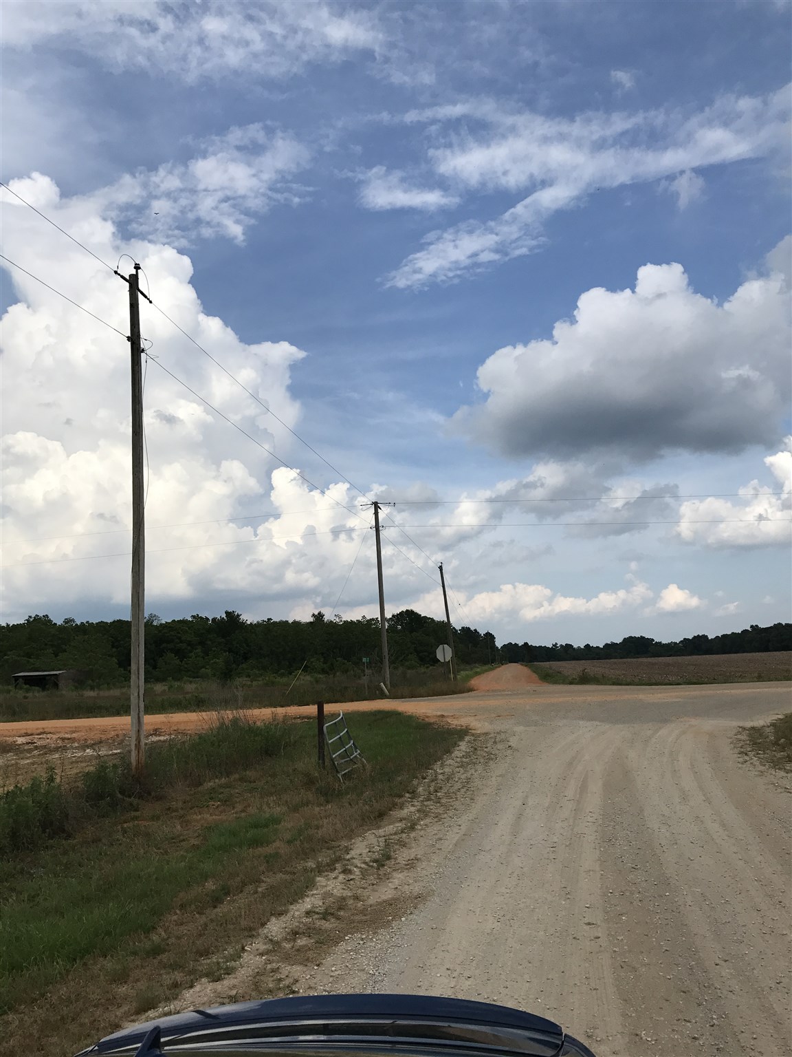 Cc Road Elberta, AL 36530 - Photo 8 of 12