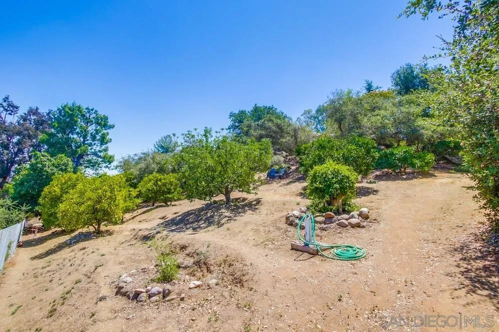 940 Mountain View Road El Cajon, CA 92021 - Photo 60 of 65 a view of a beach with a plant in the background