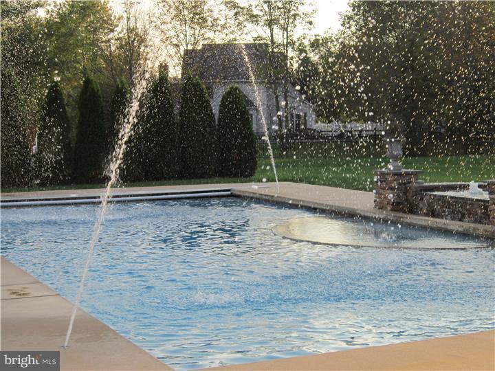 4725 Cheshire Road Doylestown, PA 18902 - Photo 22 of 24 Pool