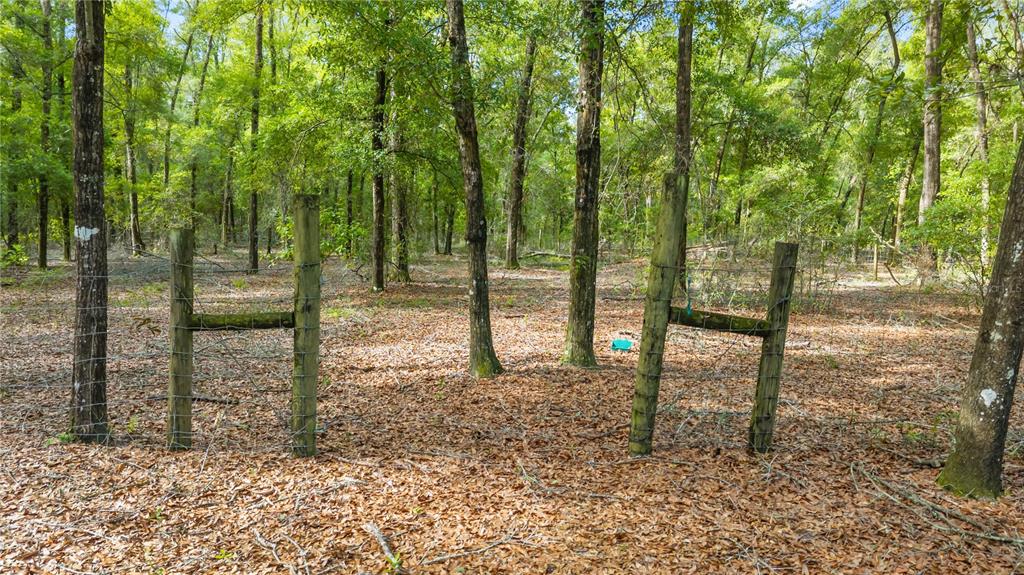 6679 Northwest 27th Place Bell, FL 32619 - Photo 47 of 55