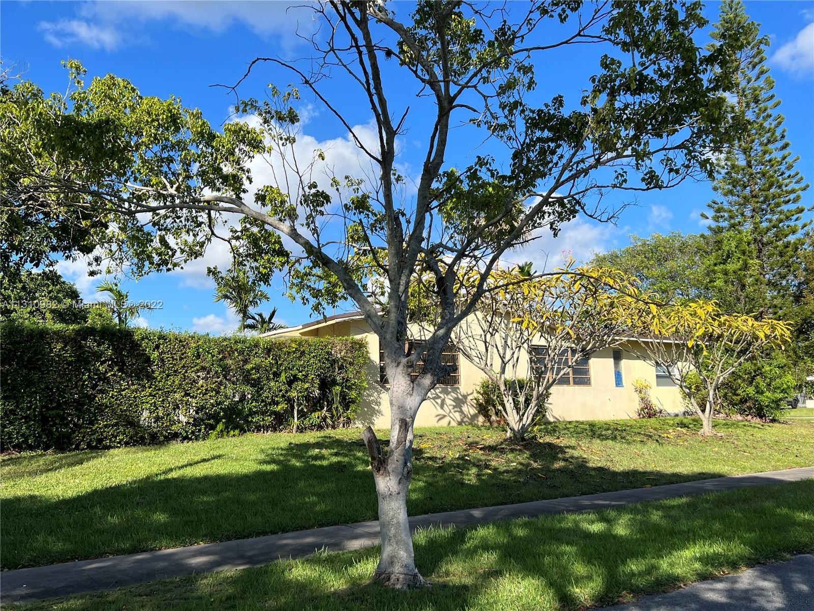 16030 Southwest 99th Avenue Miami, FL 33157 - Photo 2 of 13 a view of a yard with plants and large trees