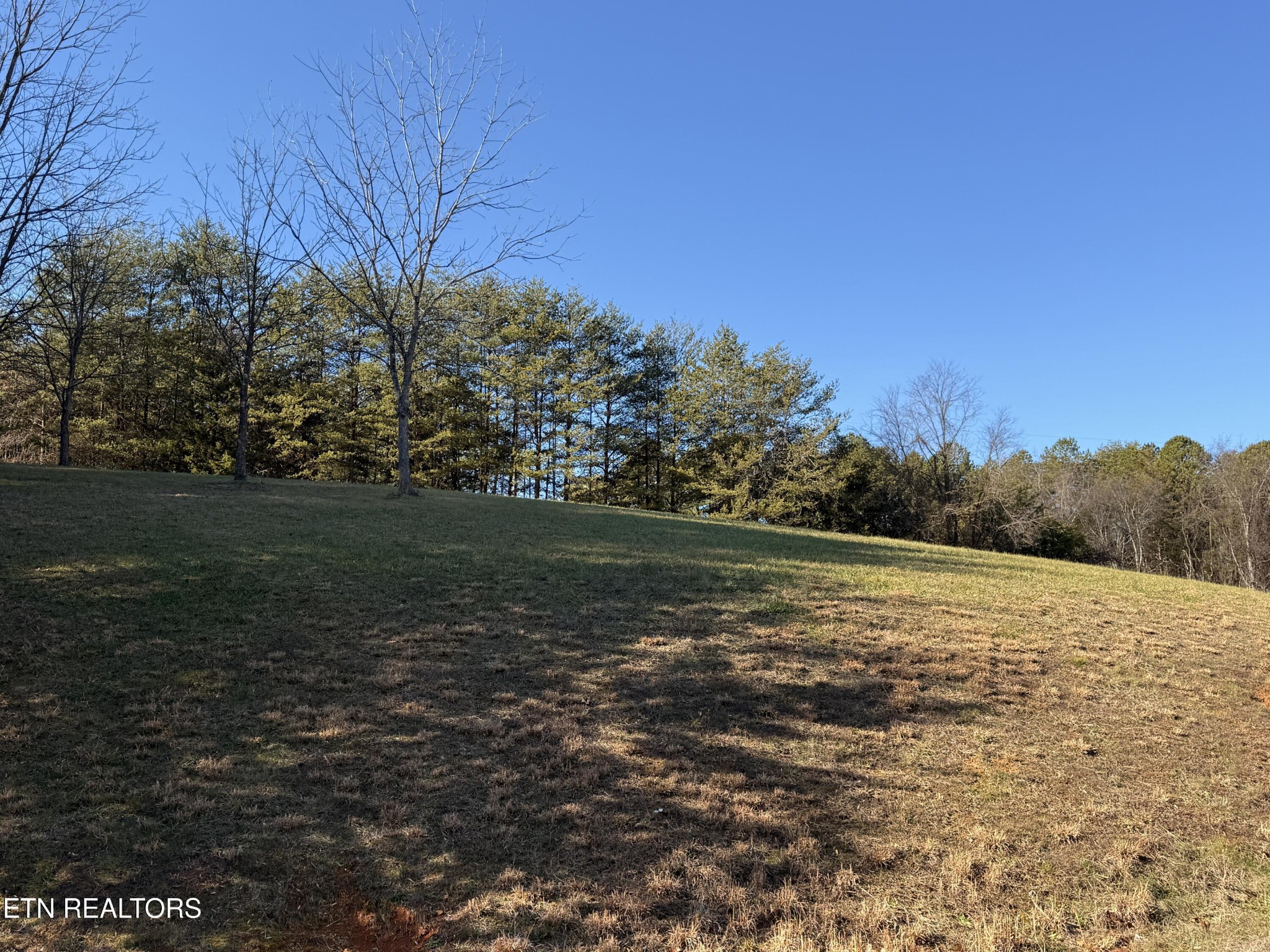116 Brookstone Road Parrottsville, TN 37843 - Photo 19 of 31 a view of a field with an ocean