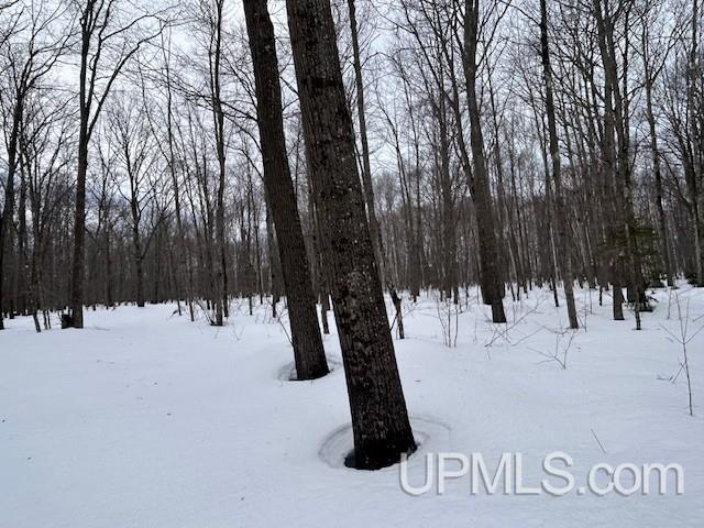 53554 North Superior Road Houghton, MI 49931 - Photo 35 of 41