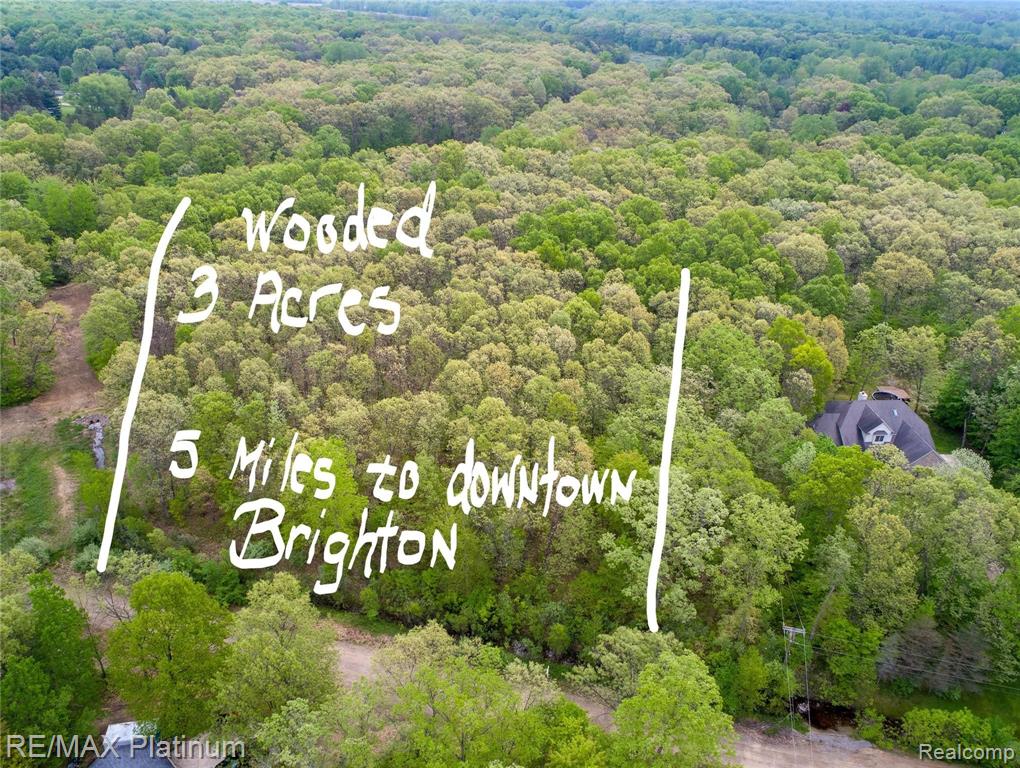 0 Peaceful Brighton, MI 48114 - Photo 4 of 5