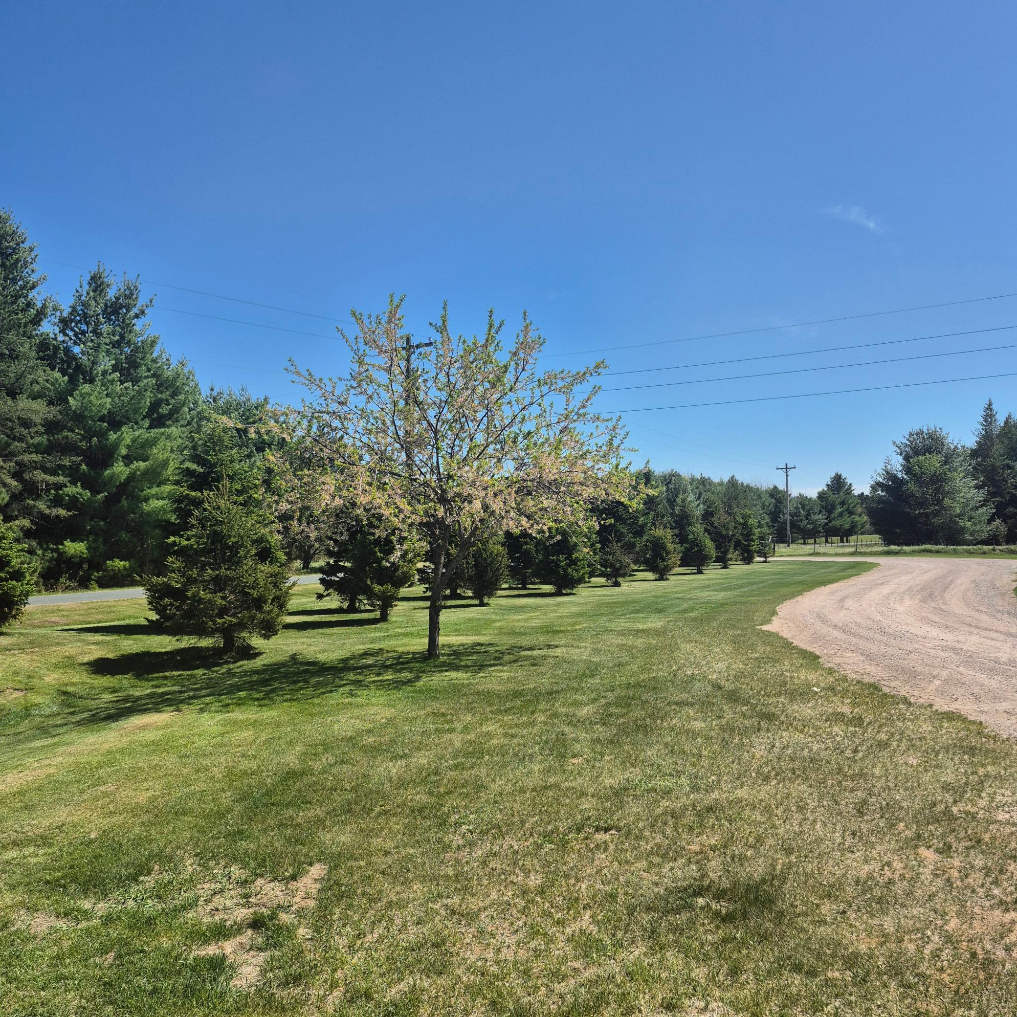 23823 North Lara Road Grantsburg, WI 54840 - Photo 61 of 72