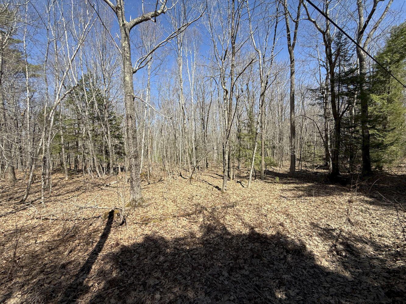 M14-l39 Sandy Point Road Vassalboro, ME 04989 - Photo 1 of 6