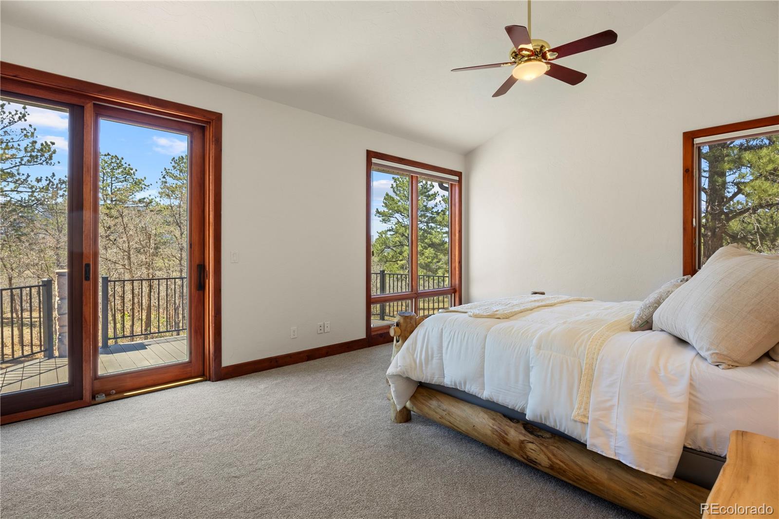 9676 South Perry Park Road Larkspur, CO 80118 - Photo 22 of 50