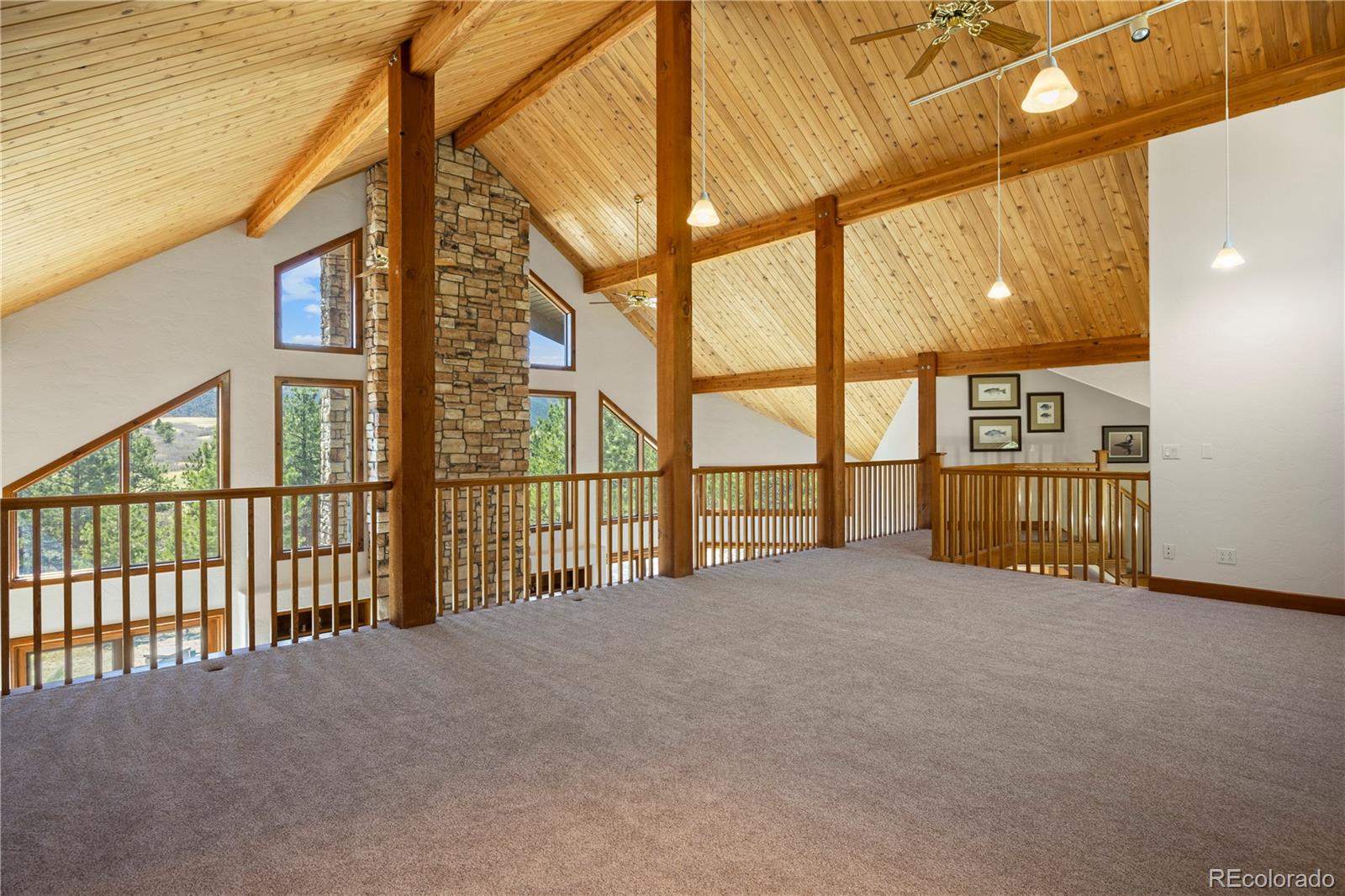 9676 South Perry Park Road Larkspur, CO 80118 - Photo 30 of 50