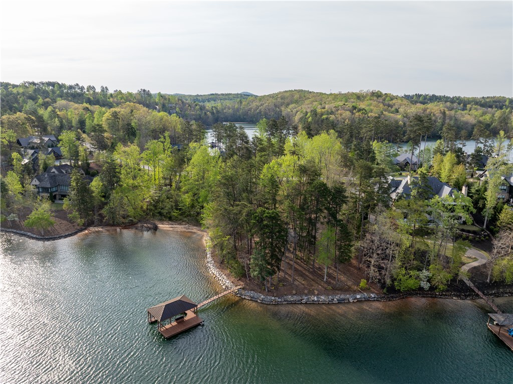 Lot 23 Peninsula Ridge Sunset, SC 29685 - Photo 14 of 22