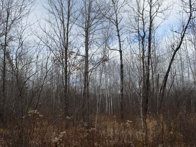 On Armstrong Creek Road Tomahawk, WI 54487 - Photo 3 of 20 Gallery Image 3