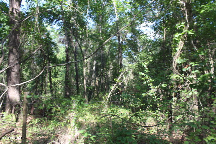 Xxx Wester Road Grand Ridge, FL 32442 - Photo 2 of 7 Gallery Image 2
