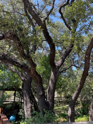 a view of backyard with green space