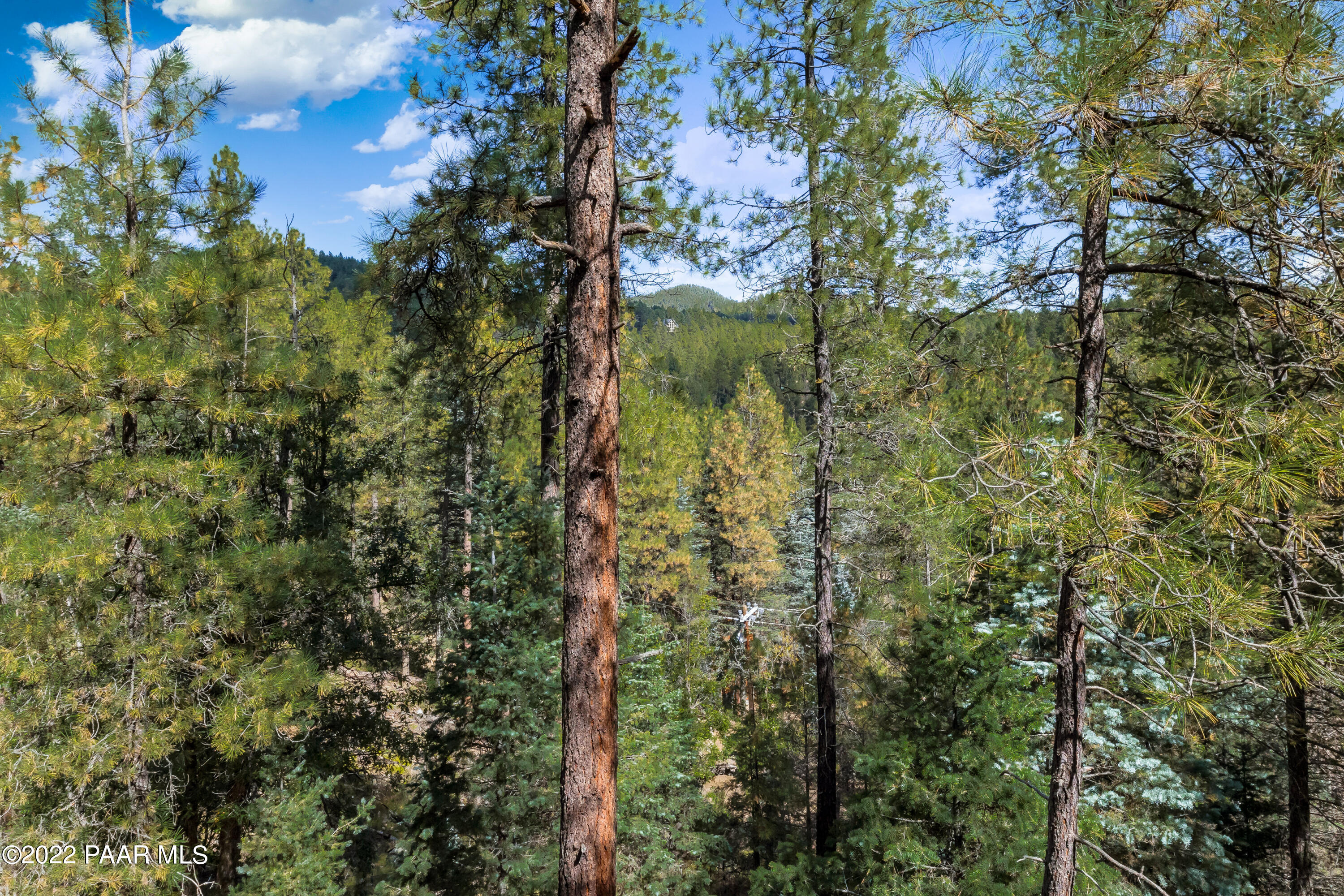2860 Shelf Road Prescott, AZ 86303 - Photo 22 of 32 014_Deck Views