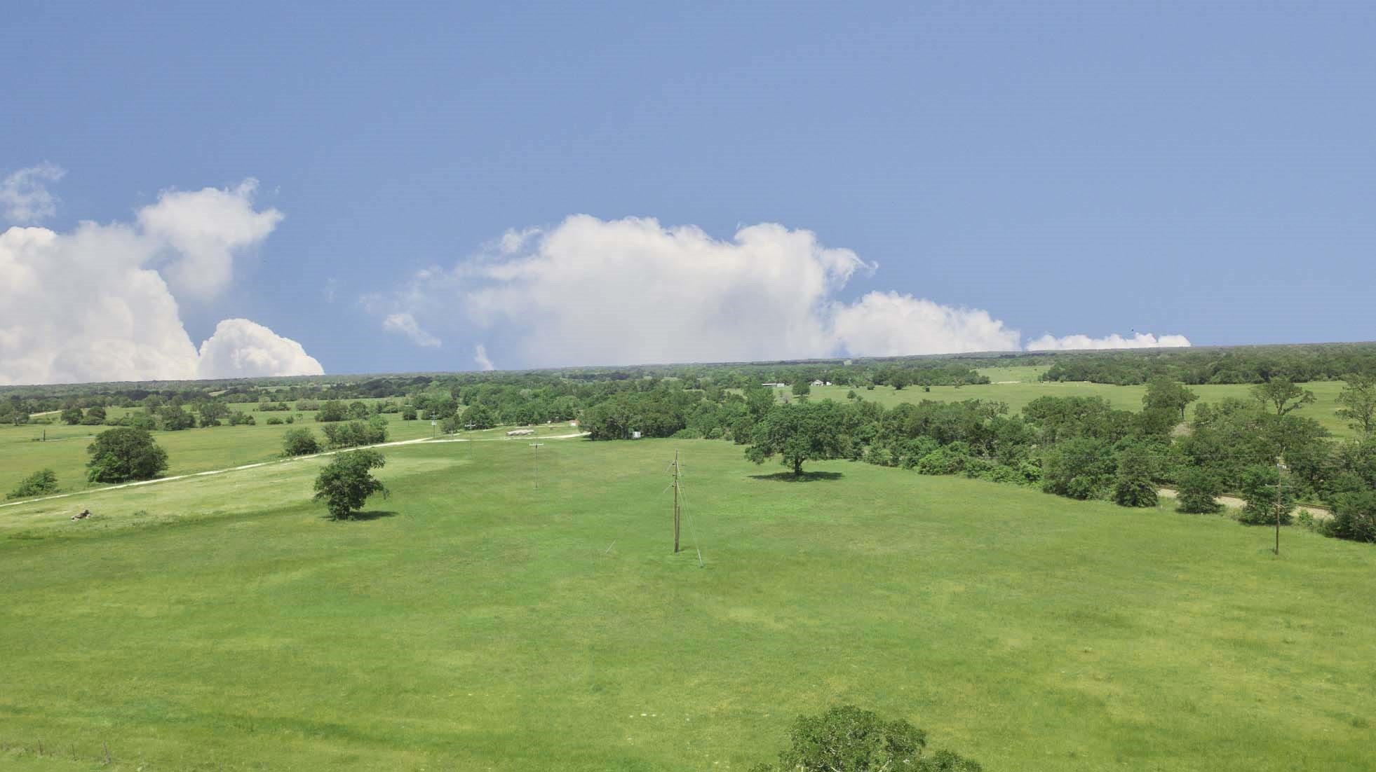 15130 Fm 39 Road Bedias, TX 77831 - Photo 10 of 26