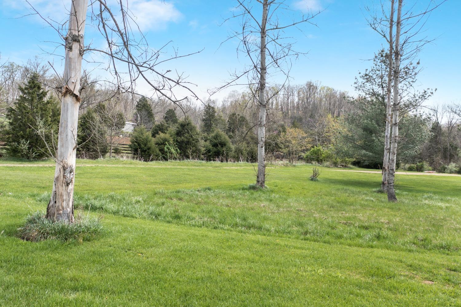 1192 Stoney Road Peebles, OH 45660 - Photo 19 of 25 Gallery Image 19