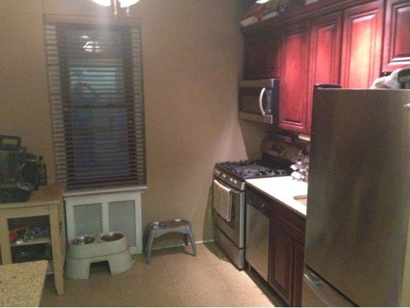 6702 Ridge Boulevard, Unit 1F Brooklyn, NY 11220 - Photo 4 of 7 Gallery Image 4