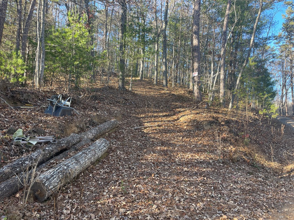 0 Laurel Branch Road Murphy, NC 28906 - Photo 5 of 8