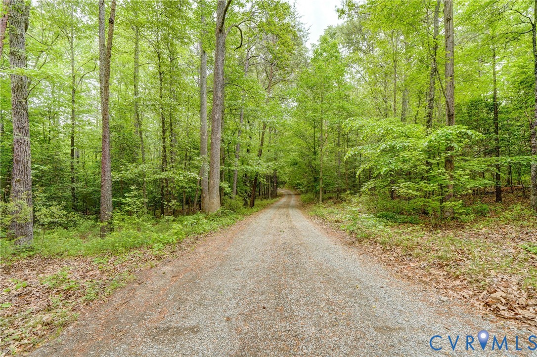 3820 Mt Pleasant Road Providence Forge, VA 23140 - Photo 38 of 40 a view of a yard with lots of trees