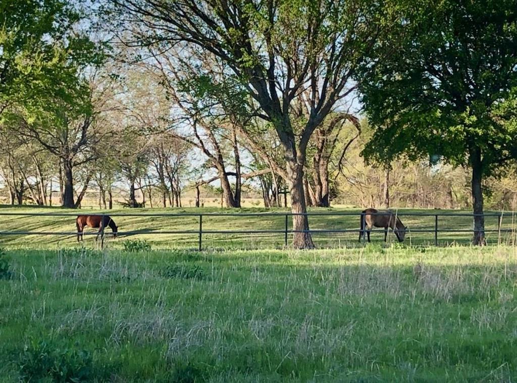 783 County Road 4420 Whitewright, TX 75491 - Photo 23 of 40 a view of park with trees