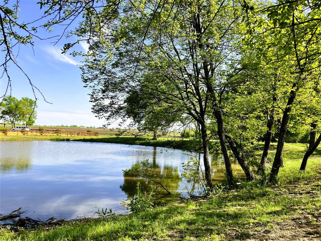 783 County Road 4420 Whitewright, TX 75491 - Photo 24 of 40 a view of a yard with a tree