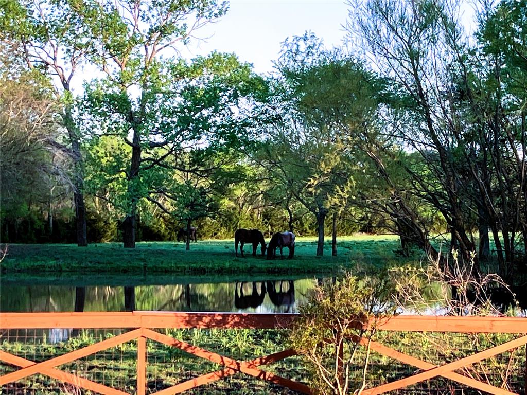 783 County Road 4420 Whitewright, TX 75491 - Photo 27 of 40 a view of lake
