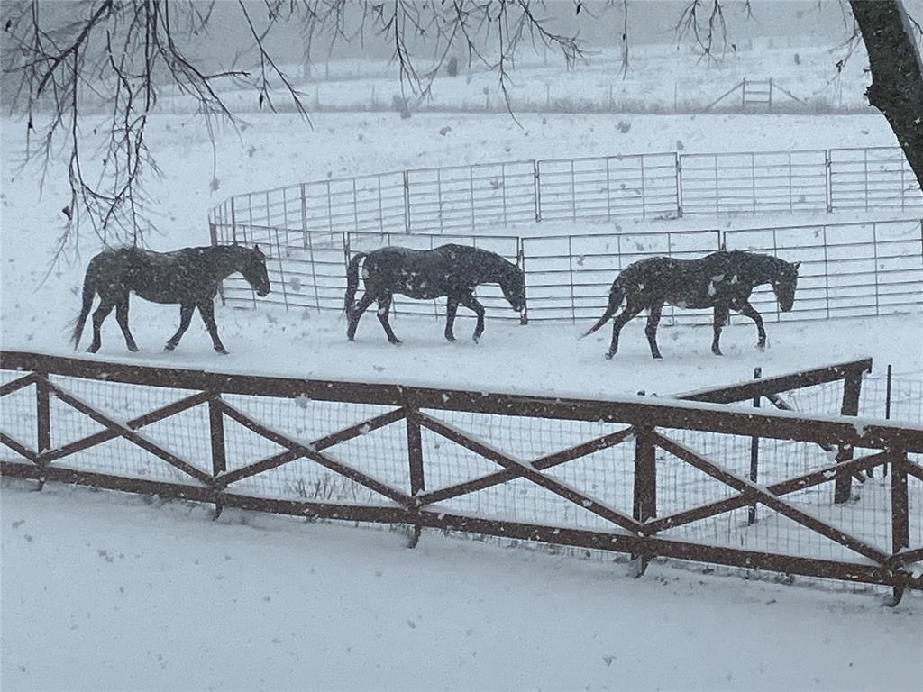 783 County Road 4420 Whitewright, TX 75491 - Photo 39 of 40 a view of a livingroom with furniture and a rug