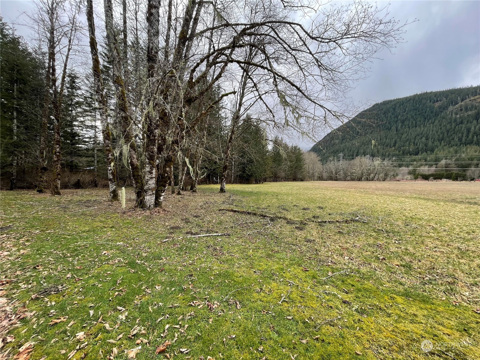 7790 Ranger Station Road Marblemount, WA 98267 - Photo 15 of 21 Gallery Image 15
